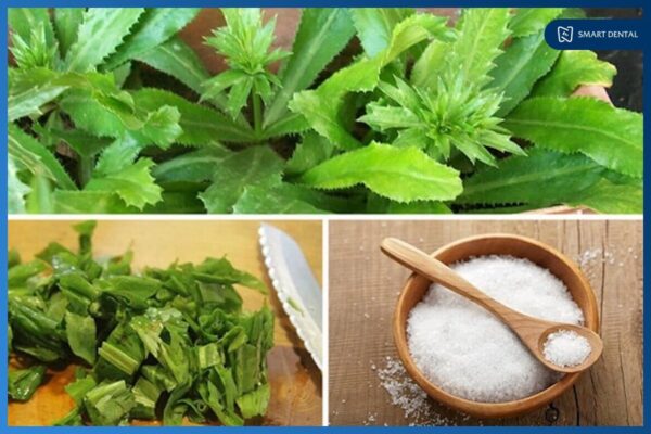 Hôi miệng làm sao hết? BẬT MÍ 5 mẹo dân gian giúp hơi thở thơm tho 4 Hôi miệng làm sao hết? BẬT MÍ 5 mẹo dân gian giúp hơi thở thơm tho 4